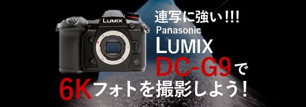 Aʂɋ!! Panasonic LUMIX DC-G9  6K tHgBe悤