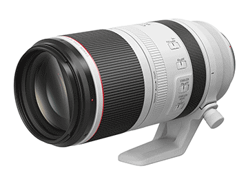 RF100-500mm F4.5-7.1 L IS USM 