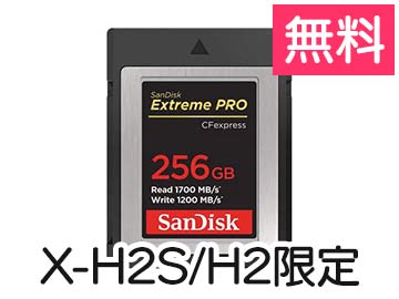 [X-H2S/H2]TfBXN Extreme PRO CFexpressJ[h Type B 256GBiSDCFE-256Gj