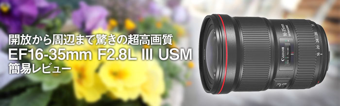 Lm EF16-35mm F2.8L III USM ȈՃr[