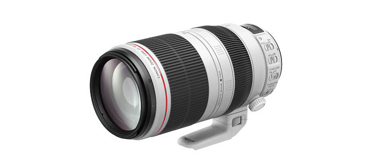 EF100-400mm F4.5-5.6L IS II USM