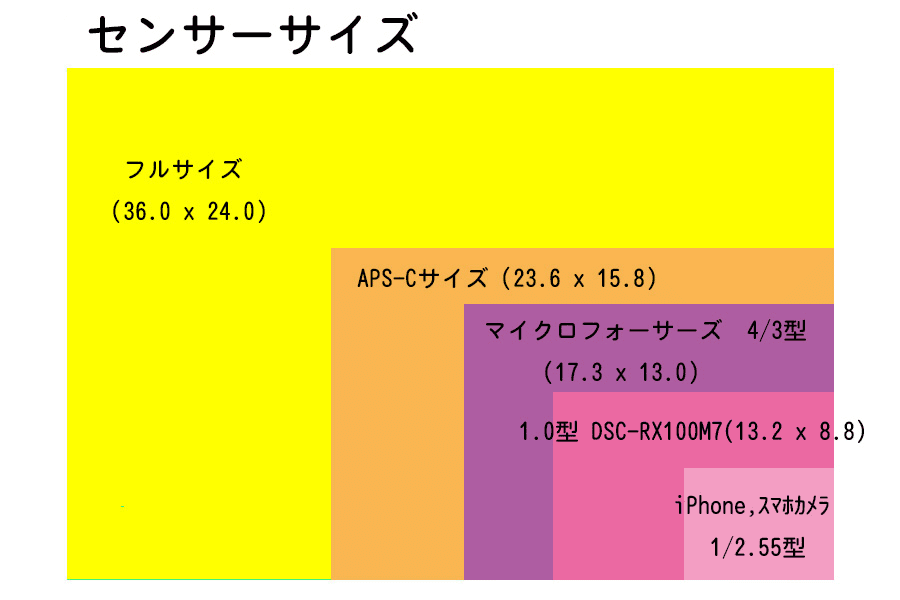 C[WZT[r摜