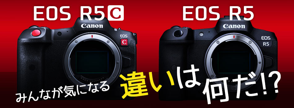 EOS R5 CEOS R5@CɂȂႢ͉H