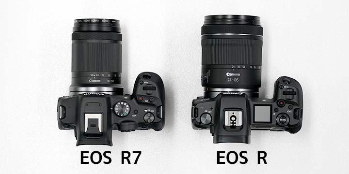 EOS R7EOS R̔r 㕔Yt