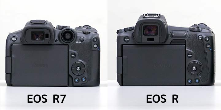 EOS R7EOS R̔r wʃYt